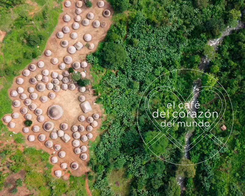 Organic Coffee from the Sierra Nevada - Amorigen